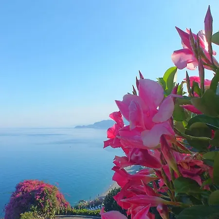 Hotel Crystal Sea Forza dʼAgro
